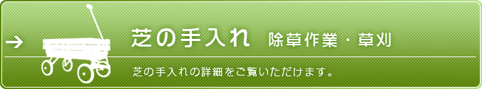 芝の手入れ